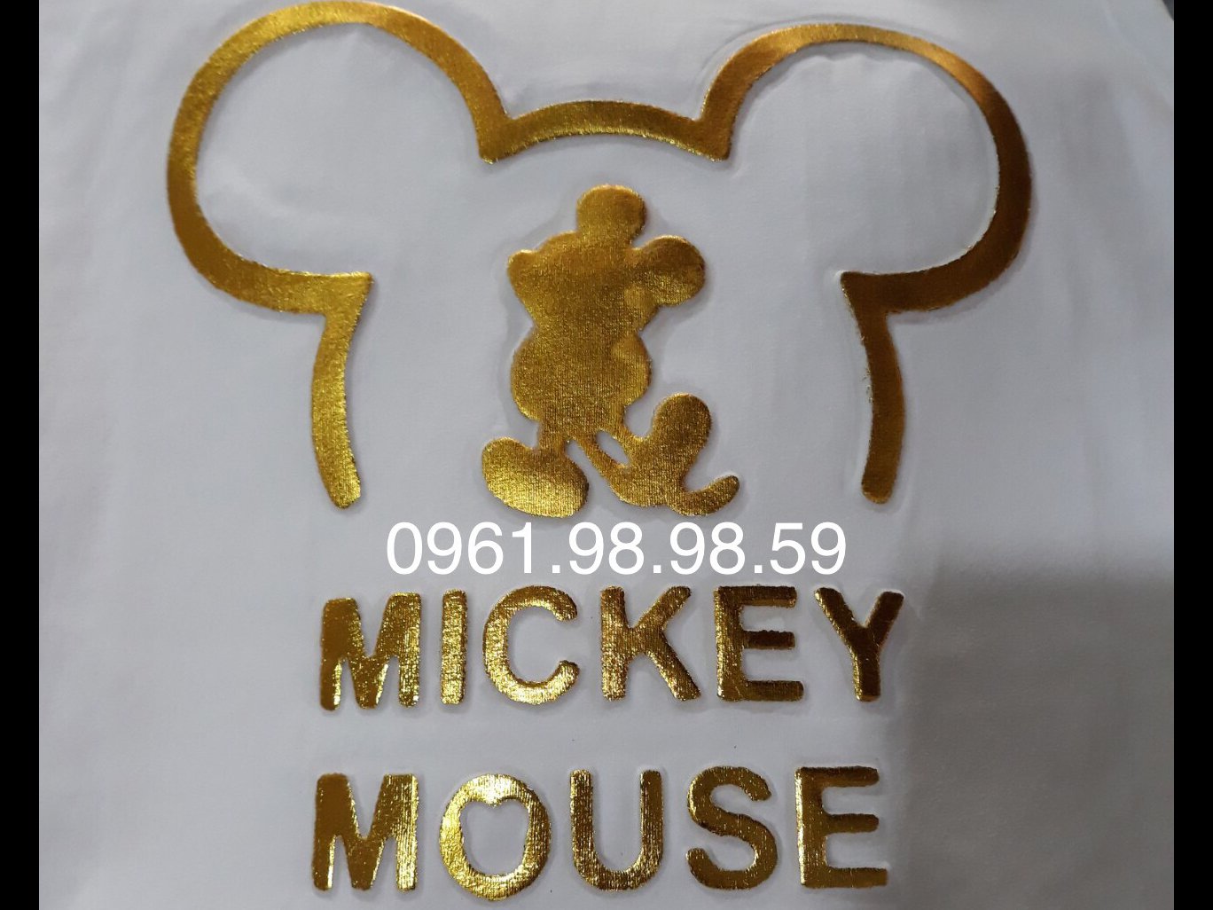 dap noi mickey
