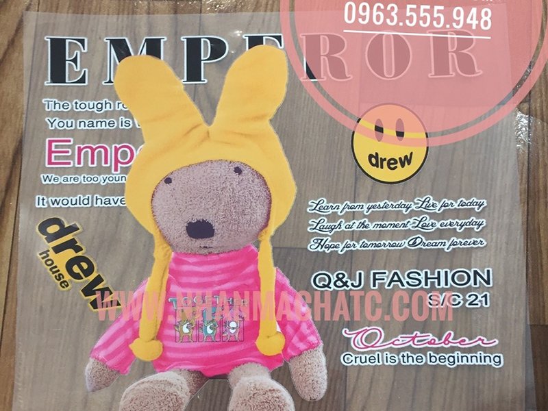 in phoi pet chuyen nhiet chat luong ha noi