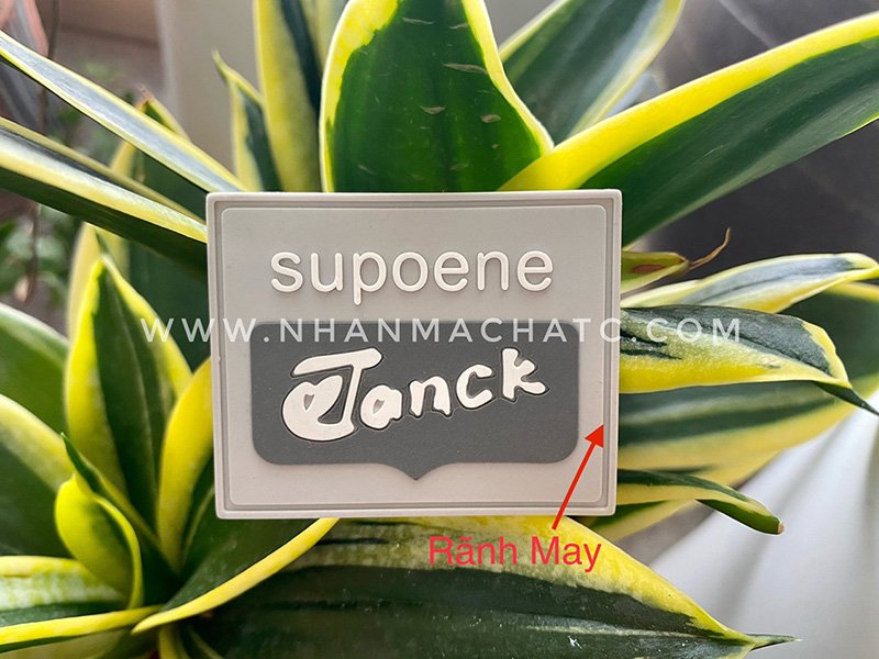 may logo cao su len ao