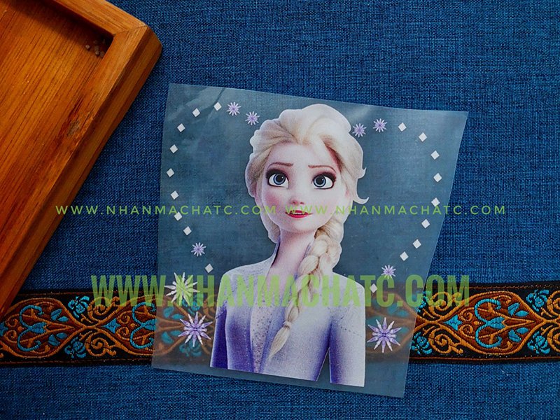Hinh elsa in ao