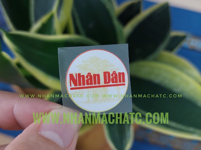 in logo bao nhan dan len khau trang
