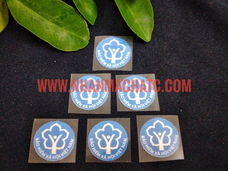 logo khau trang