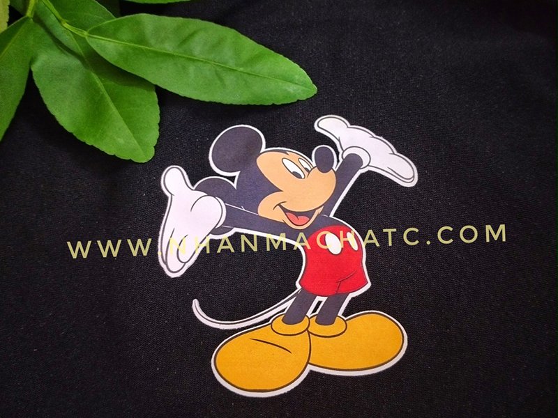 hinh mickey in ao