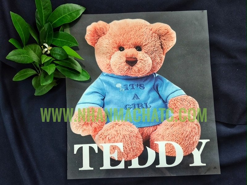 mau in pet chuyen nhiet teddy