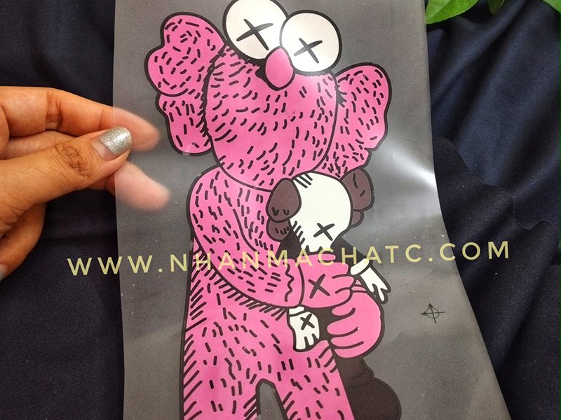 mau in pet hinh gau teddy