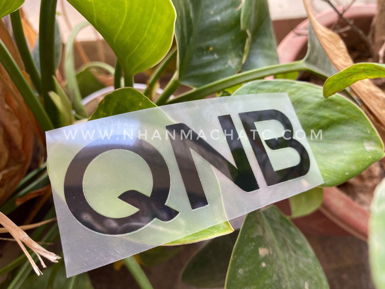 in logo len ao ha noi