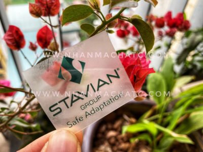 nhan ep nhiet in logo len khau trang