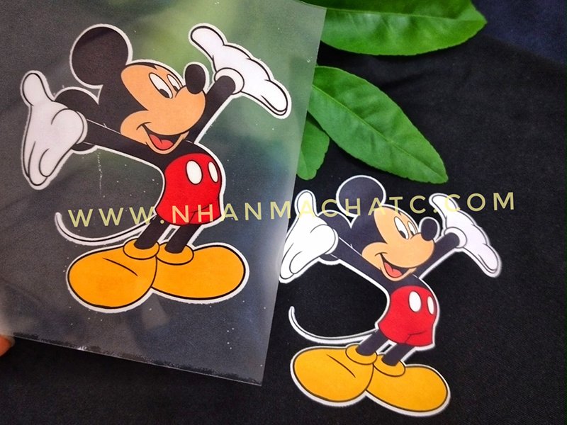 pet chuyen nhiet mickey
