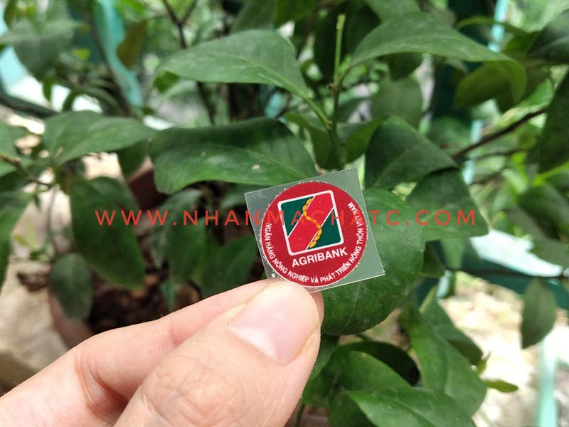 xuong in logo len ao xuong in ep nhiet hatc