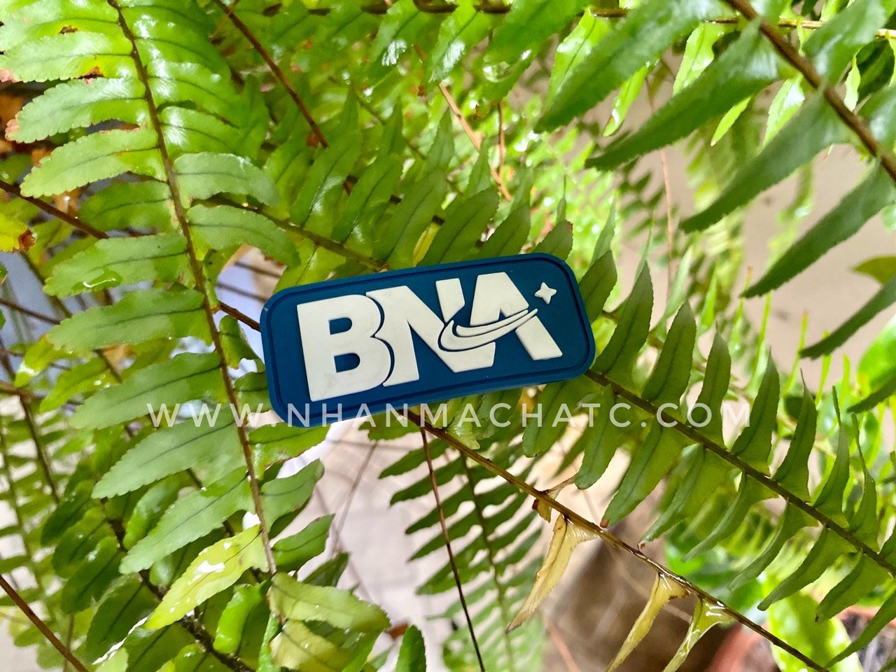 logo cao su nhua deo