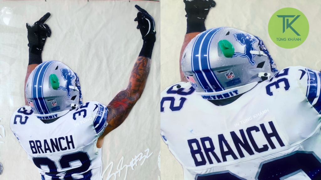 hình pet độc đáo