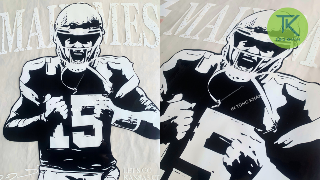 pet hình cầu thủ