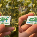 Tại sao nên làm móc khóa cao su